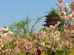 -古柏渡飞黄旅游区