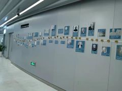 -上海市东方医院(总院)