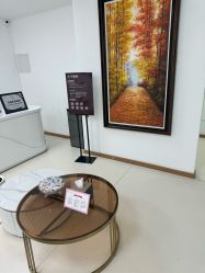 -薇兰专业脱毛连锁机构