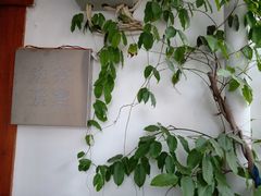 -边渡咖啡烘焙店(昙华林店)