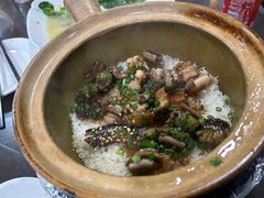 -红星光发煲仔饭(文海店)