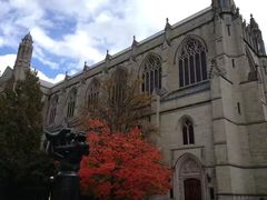 -普林斯顿大学