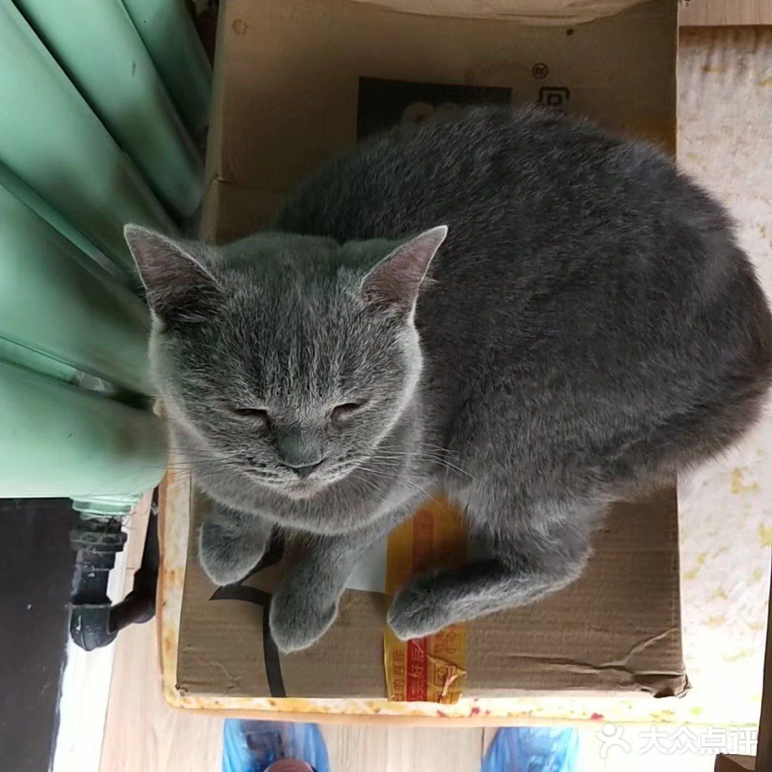 位于小寨东路一又二分之一公寓B座1009 大叔是个爱