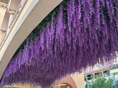 -首创奥特莱斯(西安店)