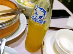 北冰洋汽水-丰和日丽(瑞虹天地月亮湾店)