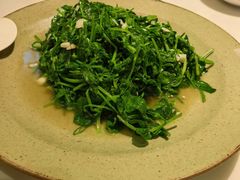 -蜀香格格•剁椒鱼头(龙西店)