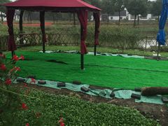 -丫丫蟹庄·苏式园林农家乐·阳澄湖大闸蟹(阳澄湖莲花岛店)