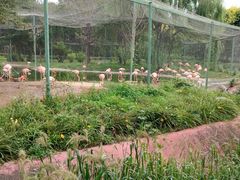 -石家庄市动物园