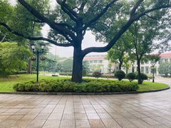 -上海虹桥迎宾馆
