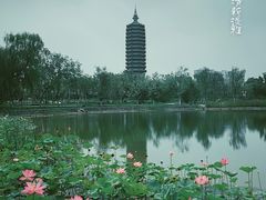 -西海子公园