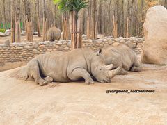 -北京野生动物园