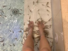 -果裹水汇(帅府店)