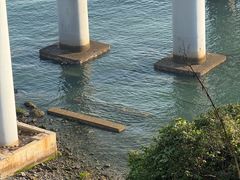 -星海湾跨海大桥
