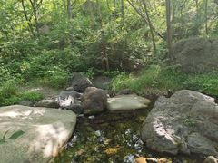 -云岫谷游猎自然风景区