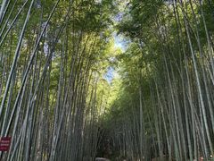 -苏州环秀晓筑养生度假村