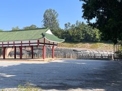 -三水森林公园