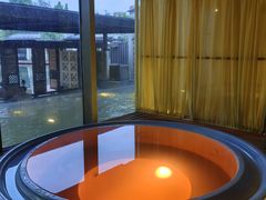 -春晖园度假酒店温泉