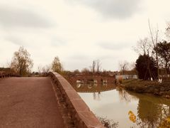 -白鹭湾湿地公园