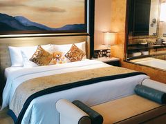 -长沙富力万达文华酒店