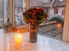 -蝶舍·MAISON PAPILLON