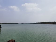 -南湖湿地公园