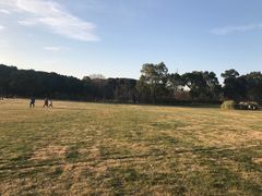 -昆山城市生态森林公园