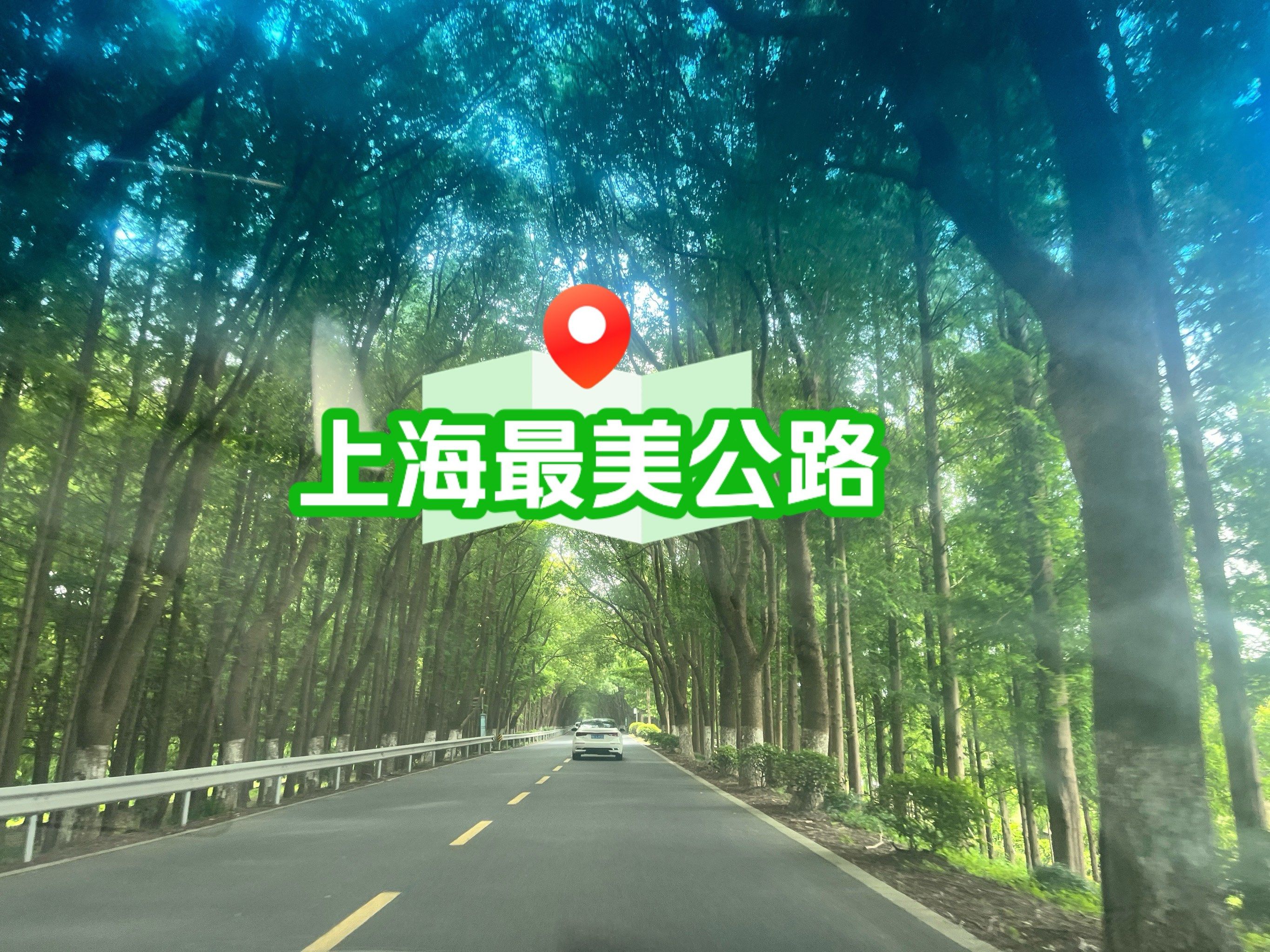上海最美公路----沪杭公路