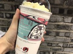 -茶颜悦色(岳麓山顶店)