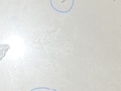-阿巧一号私房菜(止园路店)