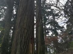 -东天目山风景区