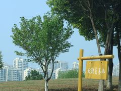 -贡湖湾湿地公园