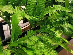 -和合谷(新辰里亚运村店)