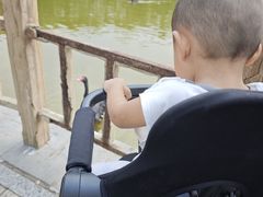 -石家庄市动物园