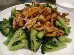 西兰花炒鲜鱿-天喜酒楼饭市·茶市(同德皇宫店)