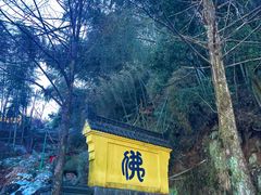 -九华山风景区