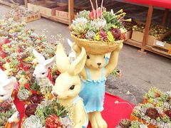 -龙大花卉苗木市场