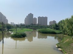 -前关湿地公园