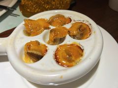 -黑松白鹿(崇文门新活馆店)