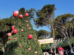 -杭州开元森泊度假乐园