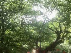 -青檀寺景区
