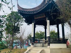 -鹅湖玫瑰文化园