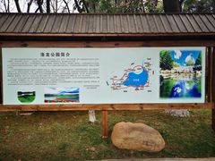 -洛龙公园