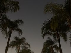 -南宁南湖公园