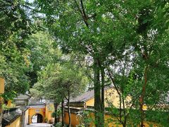 -灵岩山风景区