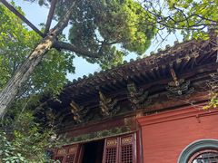 -洛阳白马寺