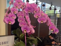 -上海可达汽车销售服务有限公司