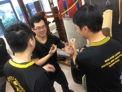 -温鉴良实用咏春拳