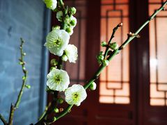-北京明城墙遗址公园