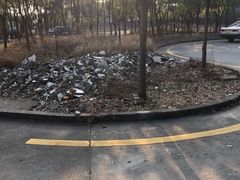 -安飞驰驾校·学车连锁(金高店)