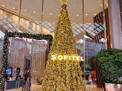 -圣丰索菲特·法国餐厅